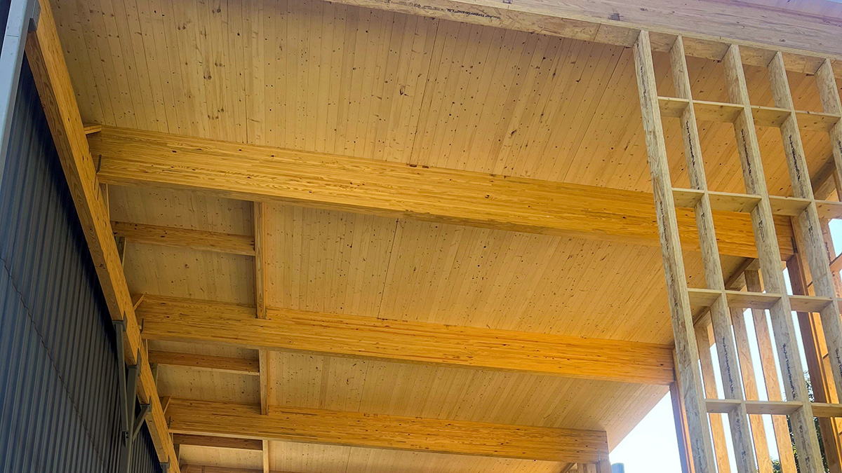 A wooden roof with exposed CLT panels and beams, supported by vertical wooden columns.